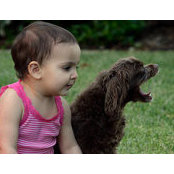 Neda Setareh's photo