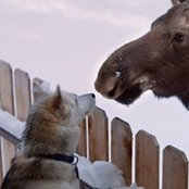 Joy Kasson's photo