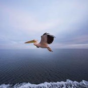 Edward Lee's photo