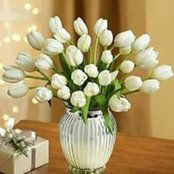 Marjeta Luzi's photo