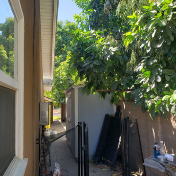 Backyard clean up and remodel