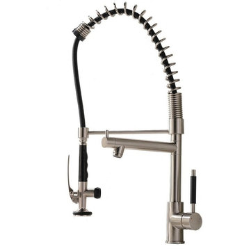 Florence Single Handle Kitchen Sink Faucet With Pull Out Sprayer