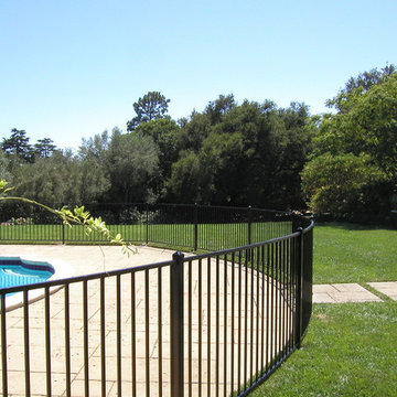 Ornamental Iron Pool Fence & Gate