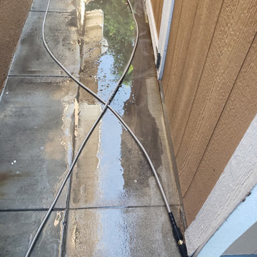 Backyard clean up and remodel