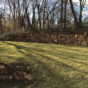 Backyard Transformation