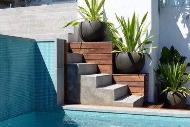 Inspiration for a modern pool in Sydney.