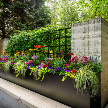 Old Town Patio & Landscape
