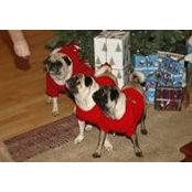 Judith Wells's photo