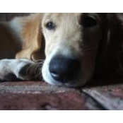 Carrie Delente's photo
