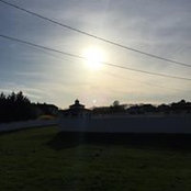 Robin Marcus's photo
