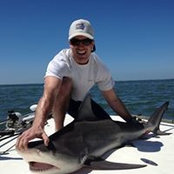 Mark Oppenheim's photo