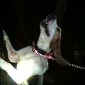 Steven Frazier's photo