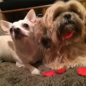 Sharon Hogarth's photo