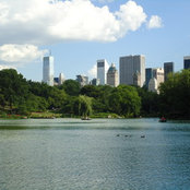 Vanessa Misek's photo