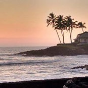 David Hermann's photo