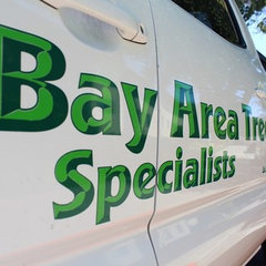 Bay Area Tree Specialists