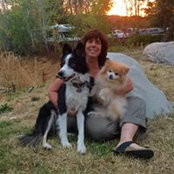 Susie Kulwin's photo