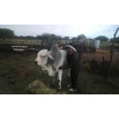 Moo Bee's photo