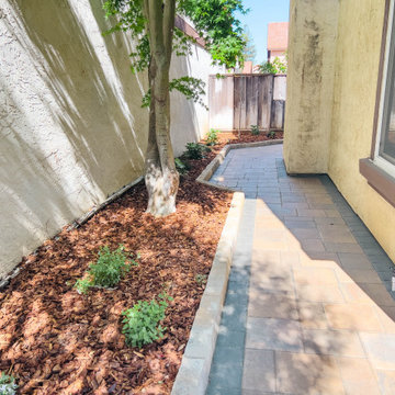 Backyard Remodel (Pavers, Mulch, Shrubs, Planter Bed, Edger)