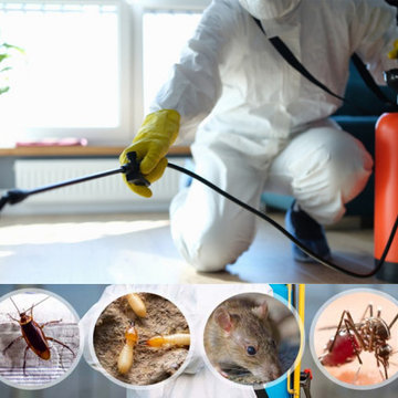 Pest Control Service