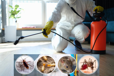 Pest Control Service