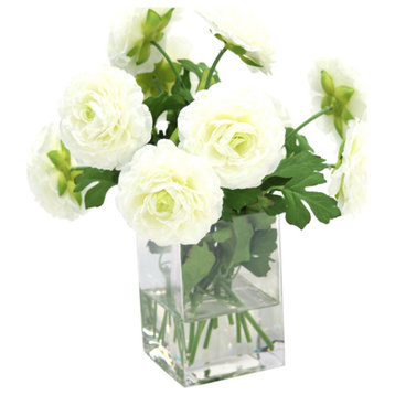 Cream White Ranunculus in Square Vase