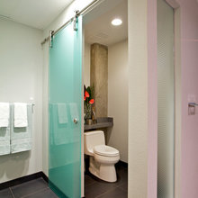 Glassbarndoor