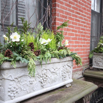 Christmas window boxes in Brooklyn