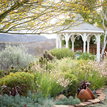 Xeriscape Landscape - Lush Green with Low-Water Plants