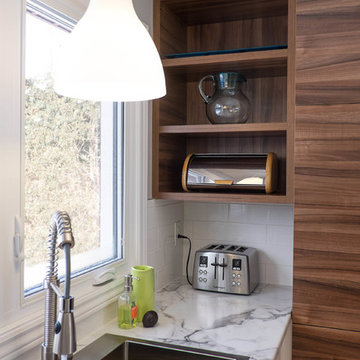 Modern White + Walnut Kitchen