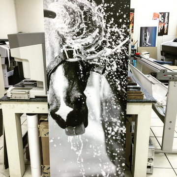 random equestrian canvas work