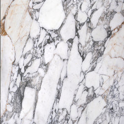 Calacatta Vagli Marble Slab - Products
