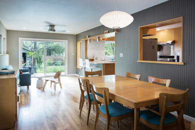 This is an example of a midcentury dining room in Austin with grey walls and medium hardwood floors.