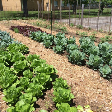 Community Garden