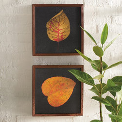 Fall 2015 - Products