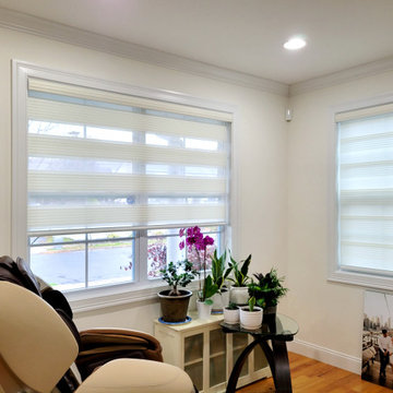 Springblinds Zebra Premium Pleated Light Filtering Shades House Project