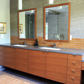 Contemporary Baths