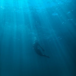 Drawn to the Light by Joel Coleman - Photographs