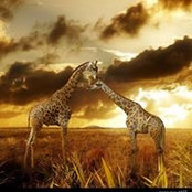Michelle Rasmussen's photo