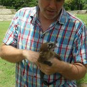 Richard Krieses foto