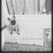 Beckie Guest's photo