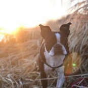 Toni Doel's photo