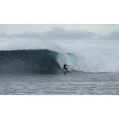 Nathan Pollock's photo