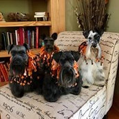 Amy Garmon's photo
