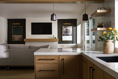 Inspiration for a transitional home design remodel in San Diego