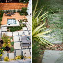 PHR house plants
