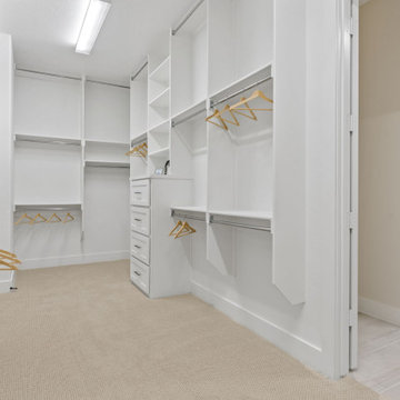 Mosaic 60' Model