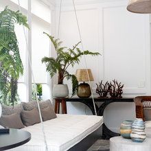plants