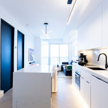 Modern Minimalist Urban Condo