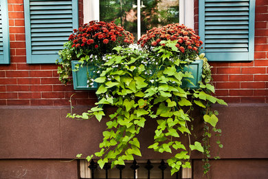 New York Entrances and Planters